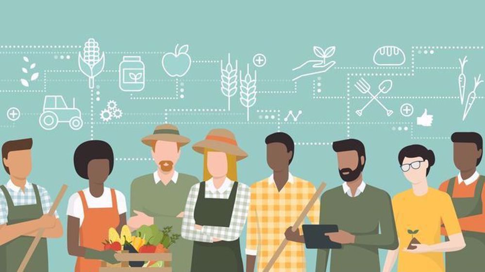 collaboration-agricole-fermiers-agriculteurs-eleveurs-coolagrifood