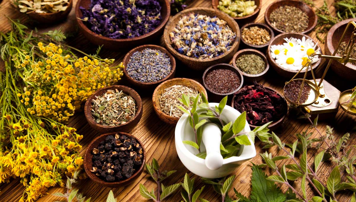 kit-plantes_aromatiques_medicinales